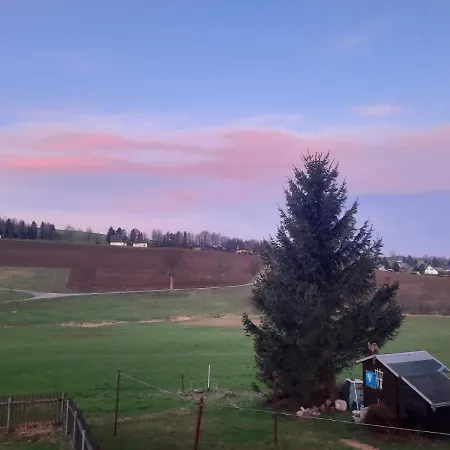 Wiesenblick In Apartment Seiffen