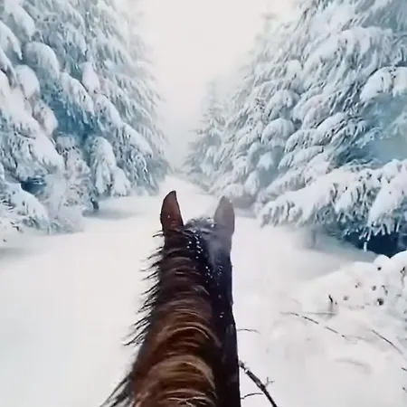 Wiesenblick In 자이펜