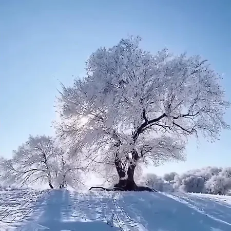 Wiesenblick In * 자이펜