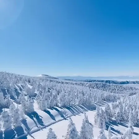 Apartamento Wiesenblick In *