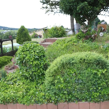 Wiesenblick In